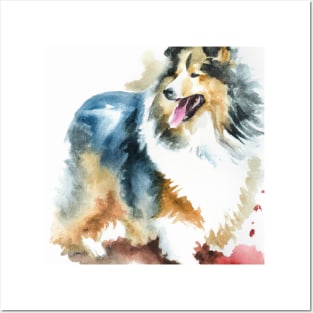 Shetland Sheepdog Watercolor Painting - Dog Lover Gifts Posters and Art